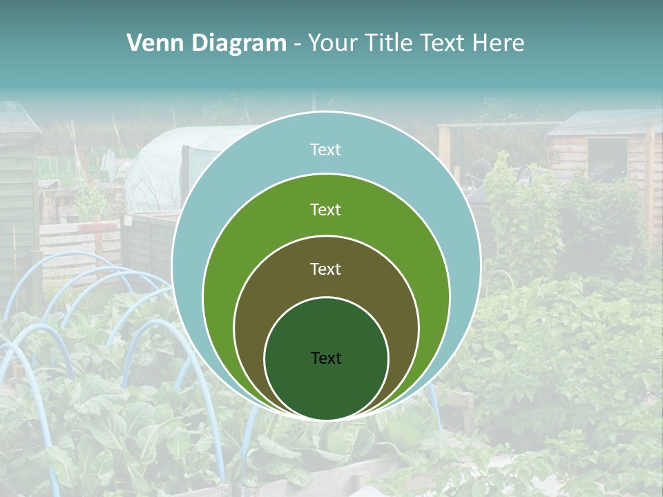A Garden Filled With Lots Of Green Plants PowerPoint Template