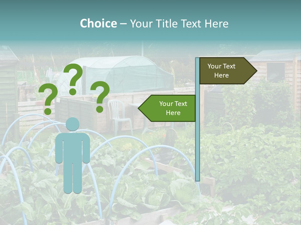 A Garden Filled With Lots Of Green Plants PowerPoint Template