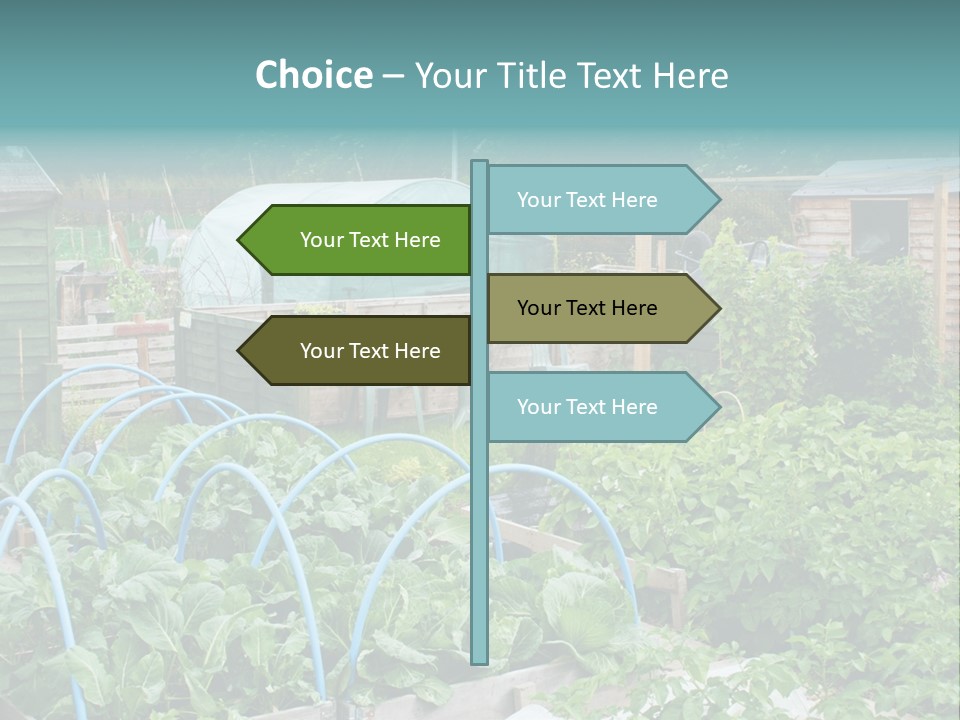 A Garden Filled With Lots Of Green Plants PowerPoint Template