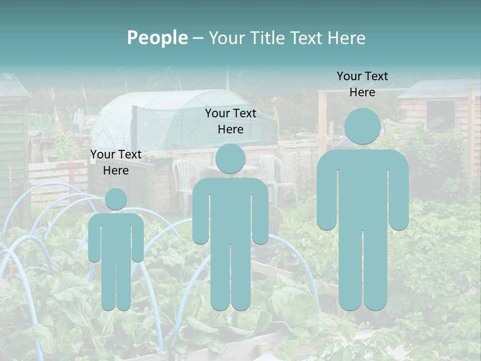 A Garden Filled With Lots Of Green Plants PowerPoint Template