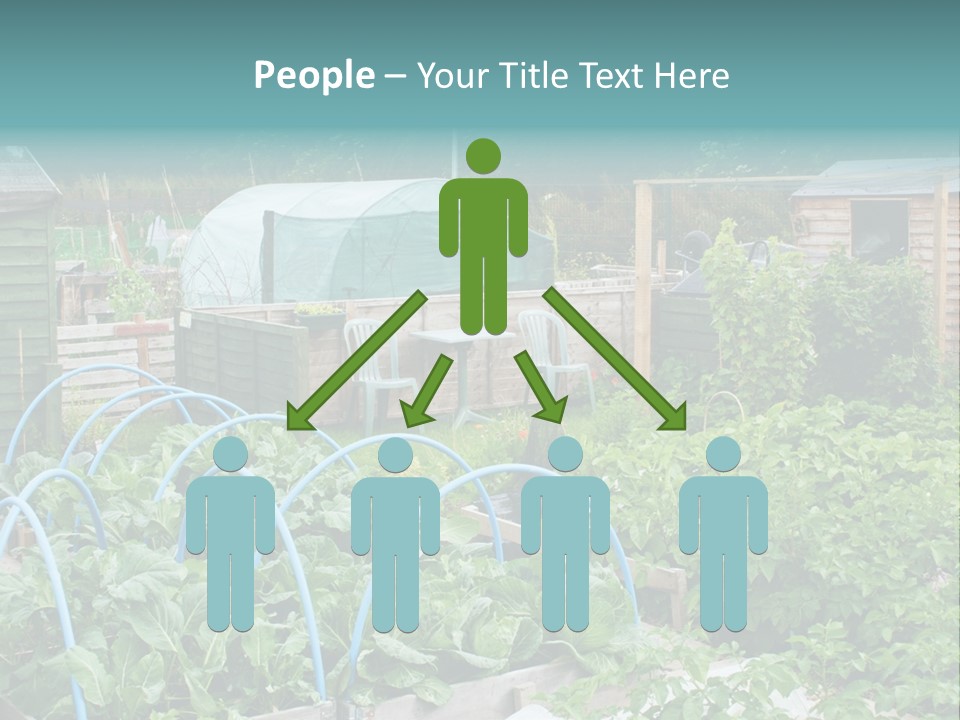 A Garden Filled With Lots Of Green Plants PowerPoint Template