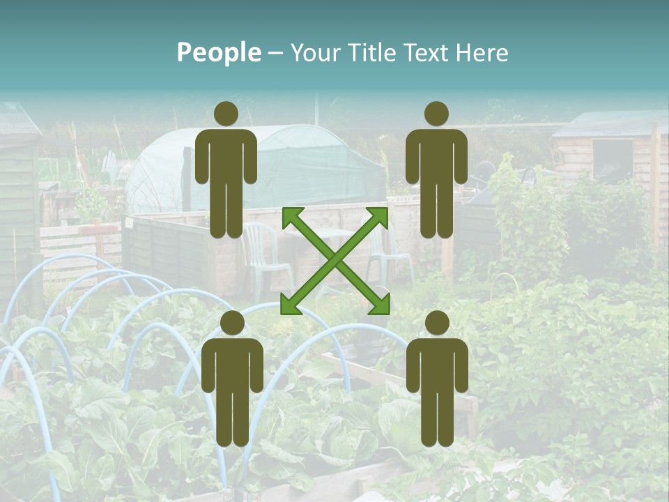 A Garden Filled With Lots Of Green Plants PowerPoint Template