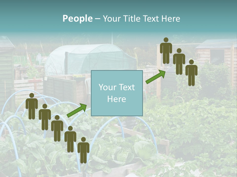A Garden Filled With Lots Of Green Plants PowerPoint Template