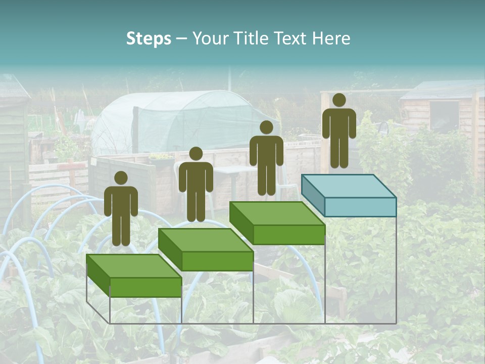 A Garden Filled With Lots Of Green Plants PowerPoint Template