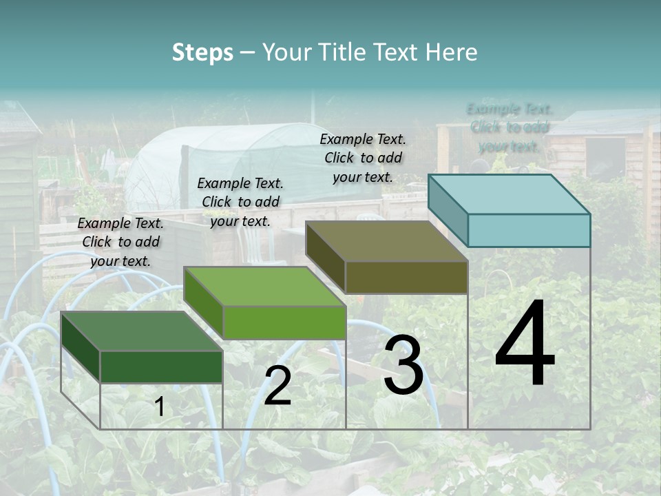 A Garden Filled With Lots Of Green Plants PowerPoint Template