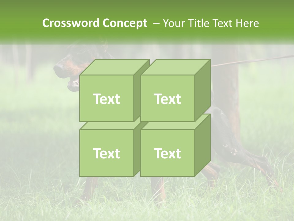 A Black And Brown Dog On A Leash In The Grass PowerPoint Template