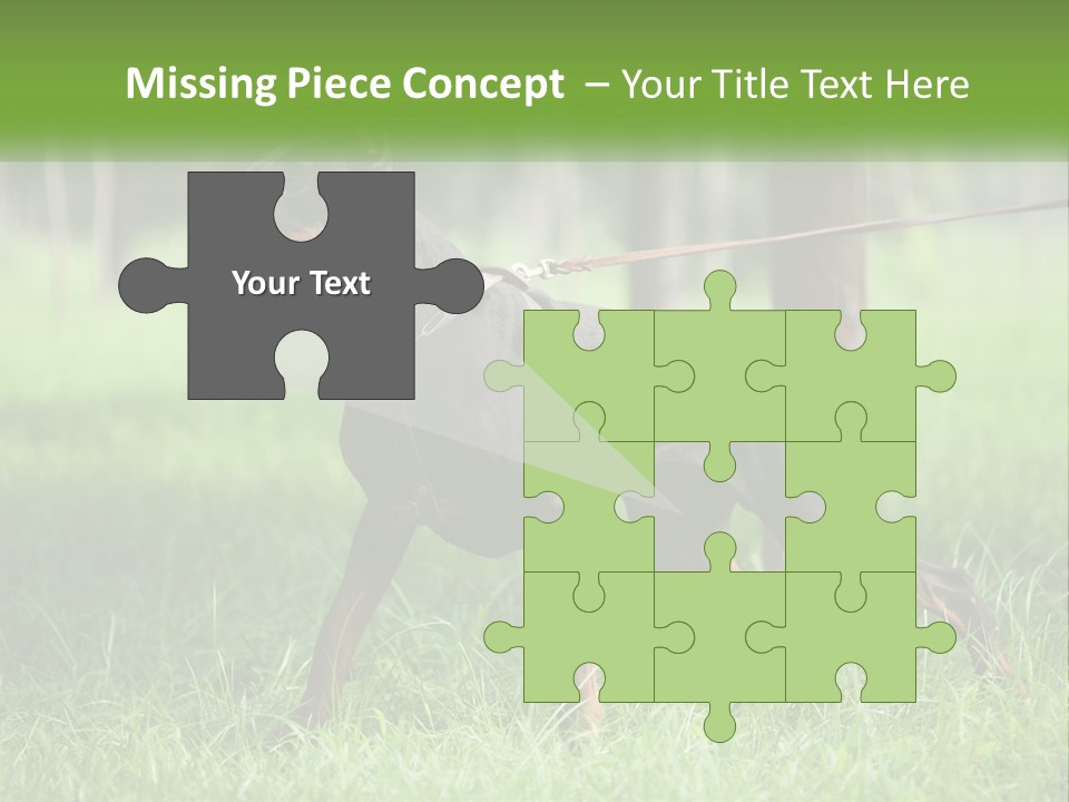 A Black And Brown Dog On A Leash In The Grass PowerPoint Template