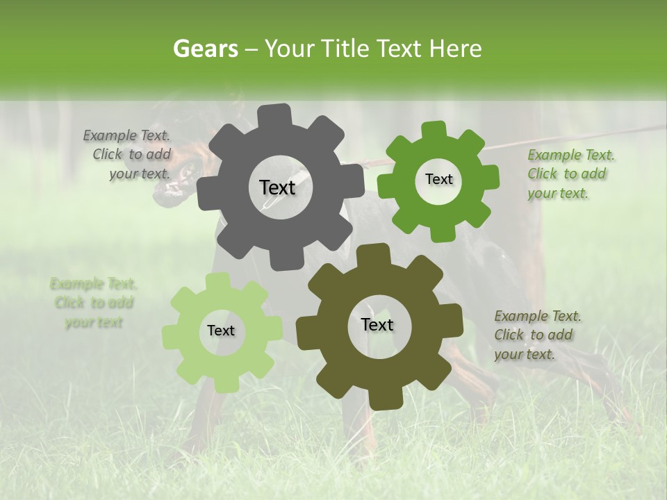 A Black And Brown Dog On A Leash In The Grass PowerPoint Template