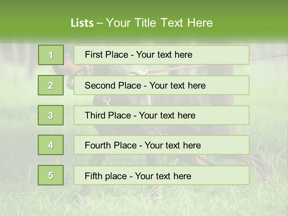 A Black And Brown Dog On A Leash In The Grass PowerPoint Template