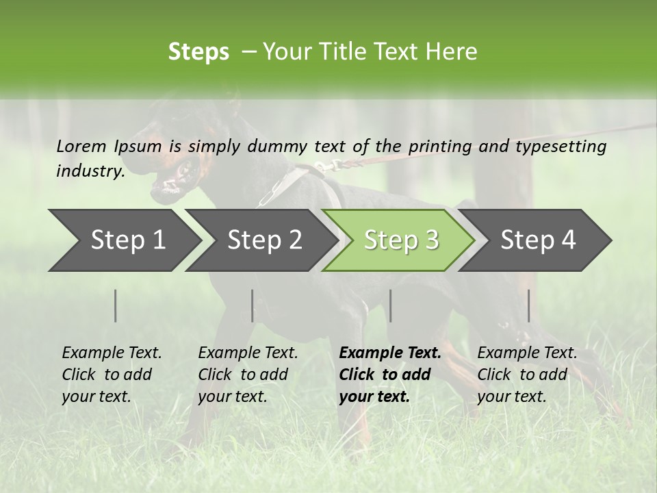 A Black And Brown Dog On A Leash In The Grass PowerPoint Template