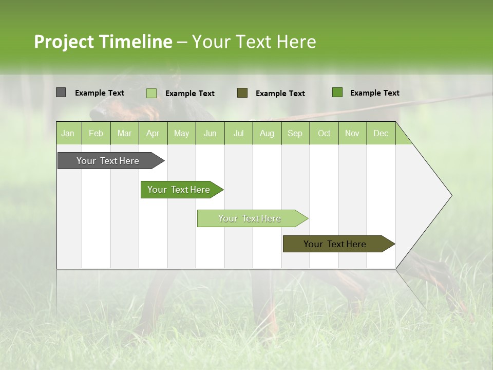 A Black And Brown Dog On A Leash In The Grass PowerPoint Template