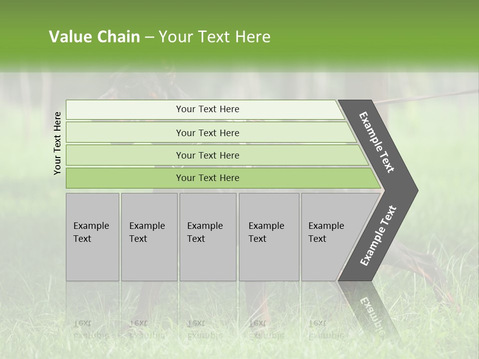 A Black And Brown Dog On A Leash In The Grass PowerPoint Template