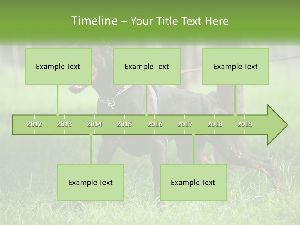 A Black And Brown Dog On A Leash In The Grass PowerPoint Template