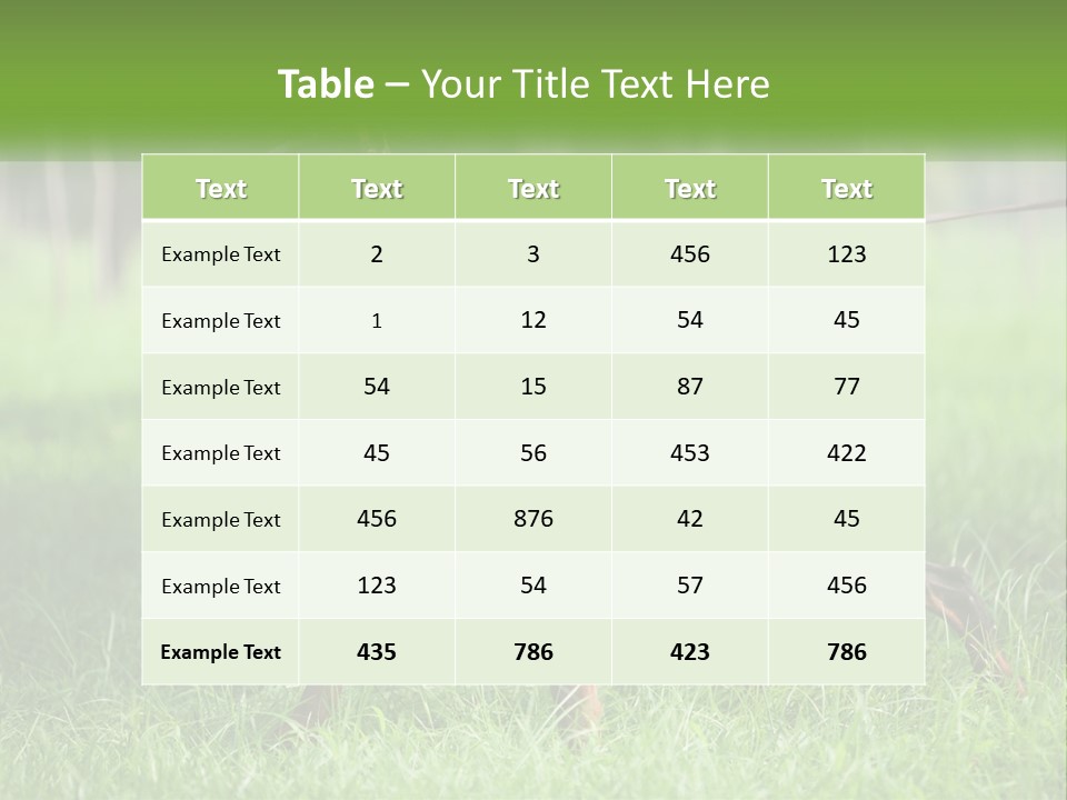 A Black And Brown Dog On A Leash In The Grass PowerPoint Template