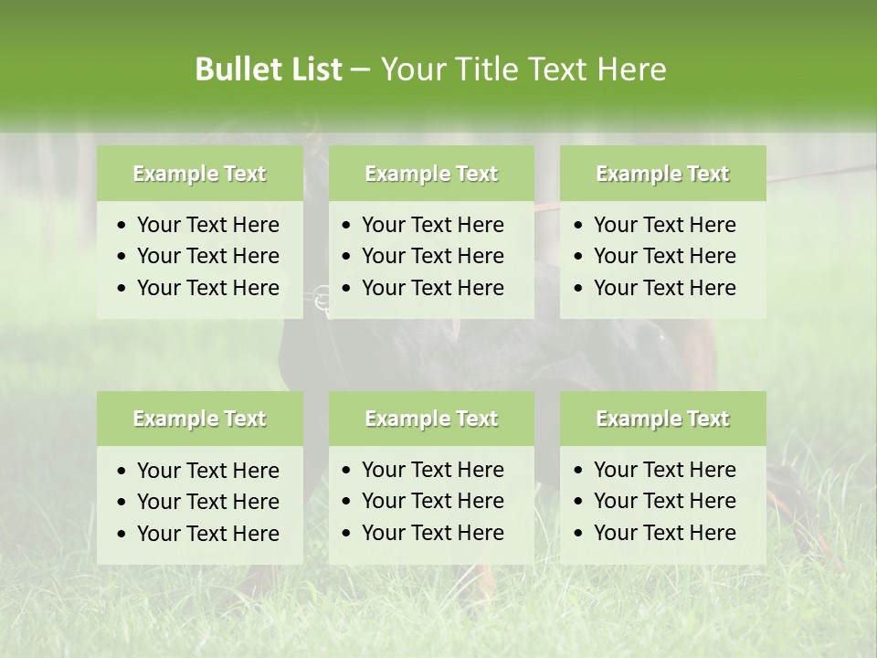 A Black And Brown Dog On A Leash In The Grass PowerPoint Template