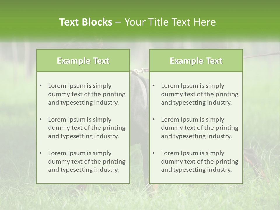 A Black And Brown Dog On A Leash In The Grass PowerPoint Template