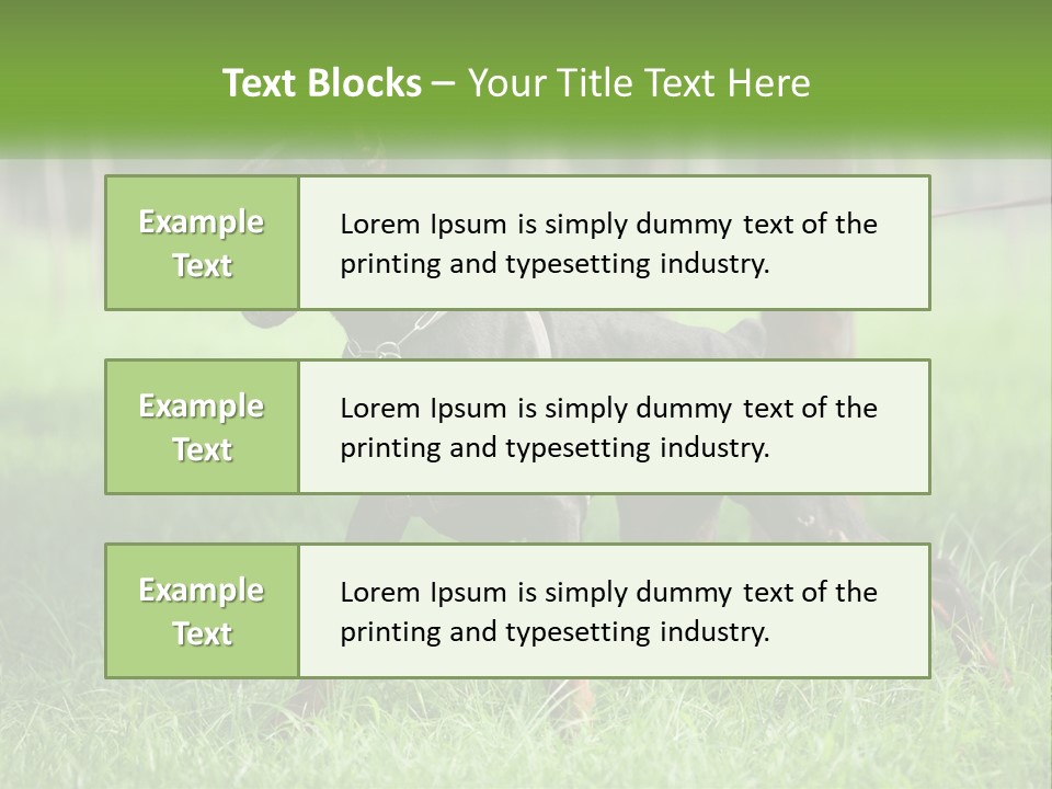 A Black And Brown Dog On A Leash In The Grass PowerPoint Template