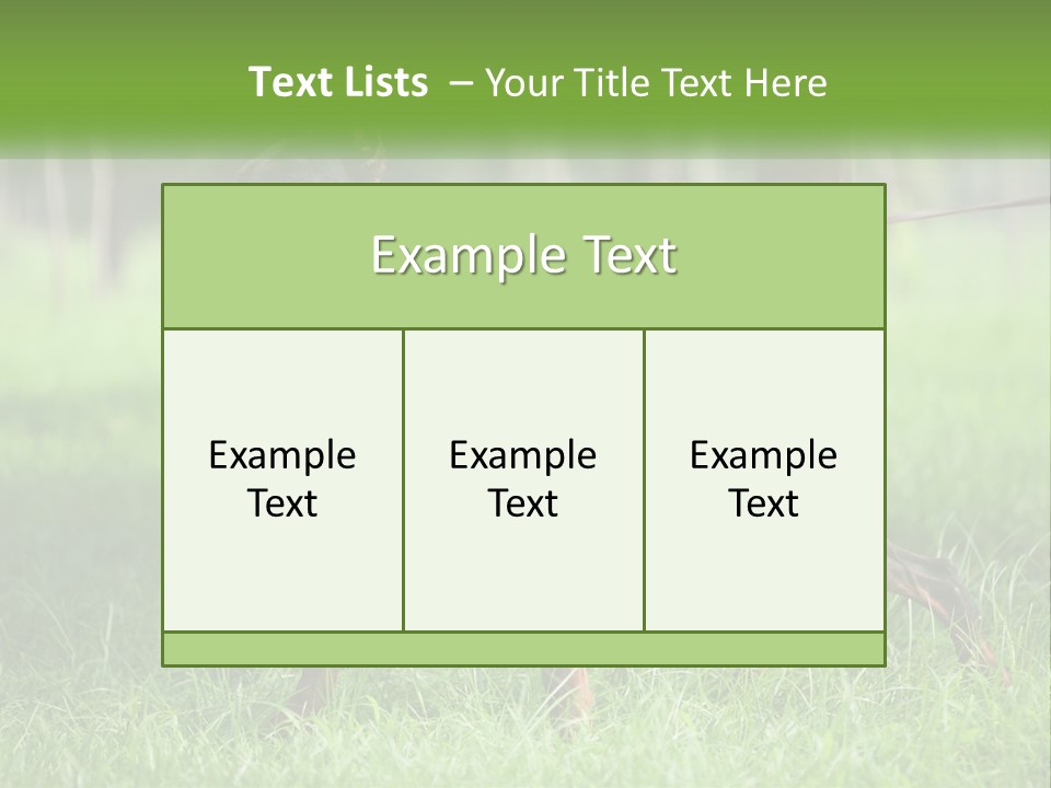 A Black And Brown Dog On A Leash In The Grass PowerPoint Template