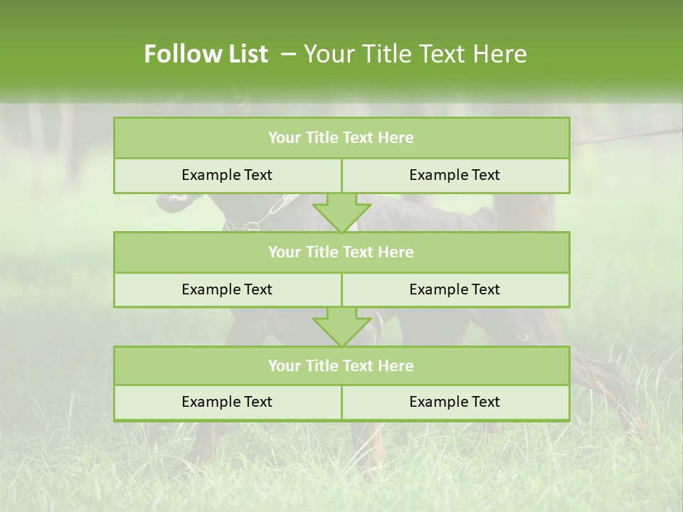 A Black And Brown Dog On A Leash In The Grass PowerPoint Template