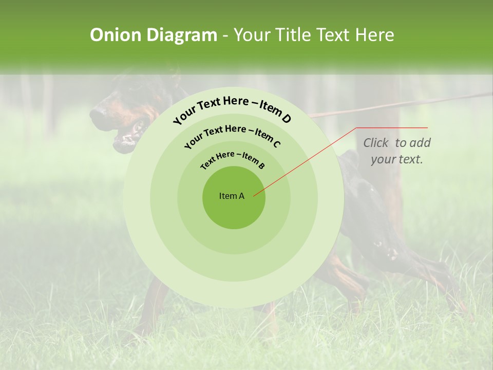 A Black And Brown Dog On A Leash In The Grass PowerPoint Template