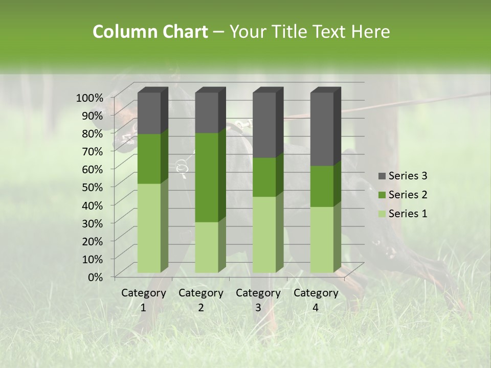 A Black And Brown Dog On A Leash In The Grass PowerPoint Template