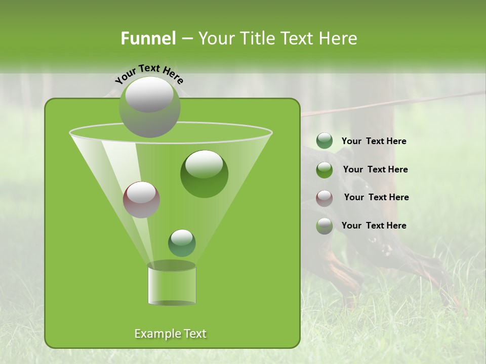 A Black And Brown Dog On A Leash In The Grass PowerPoint Template