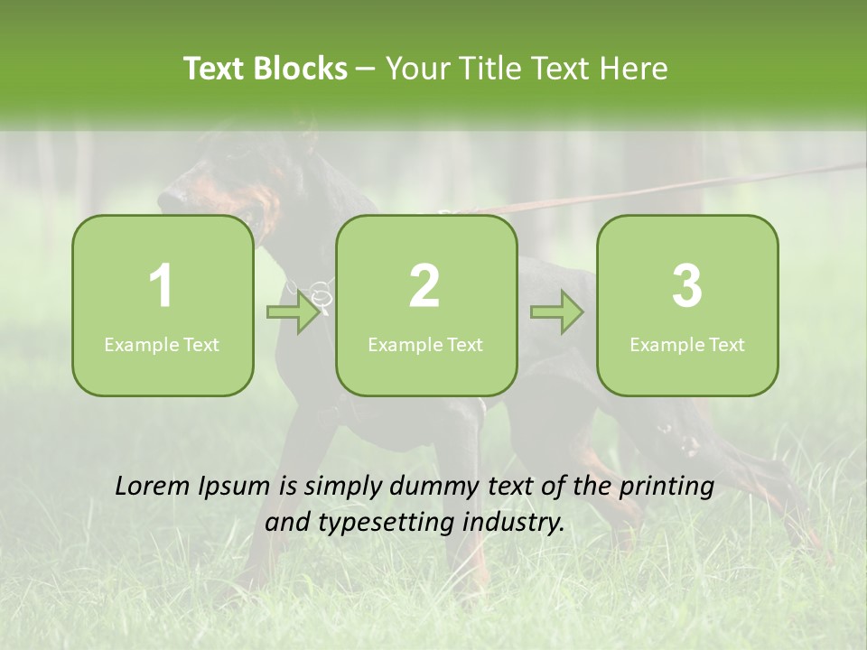 A Black And Brown Dog On A Leash In The Grass PowerPoint Template