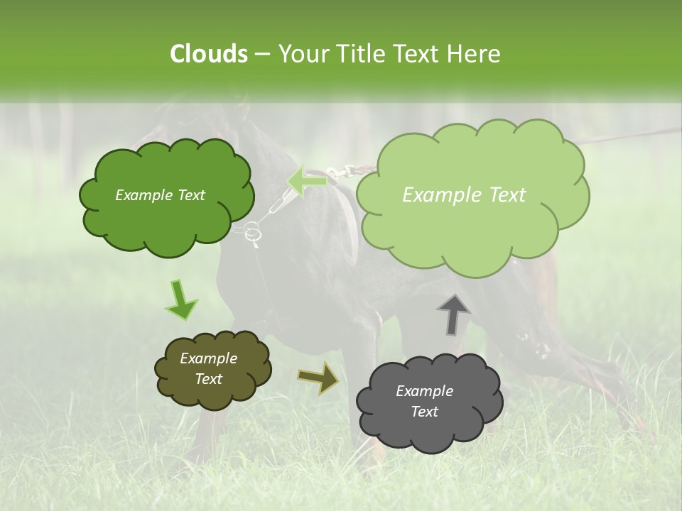 A Black And Brown Dog On A Leash In The Grass PowerPoint Template