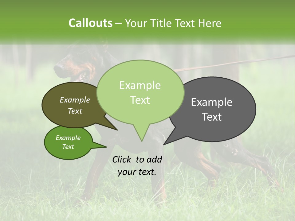 A Black And Brown Dog On A Leash In The Grass PowerPoint Template