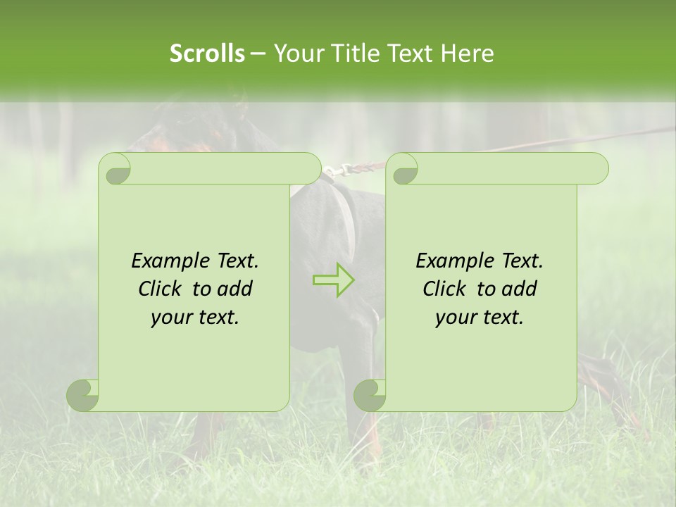 A Black And Brown Dog On A Leash In The Grass PowerPoint Template