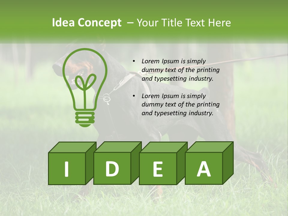 A Black And Brown Dog On A Leash In The Grass PowerPoint Template