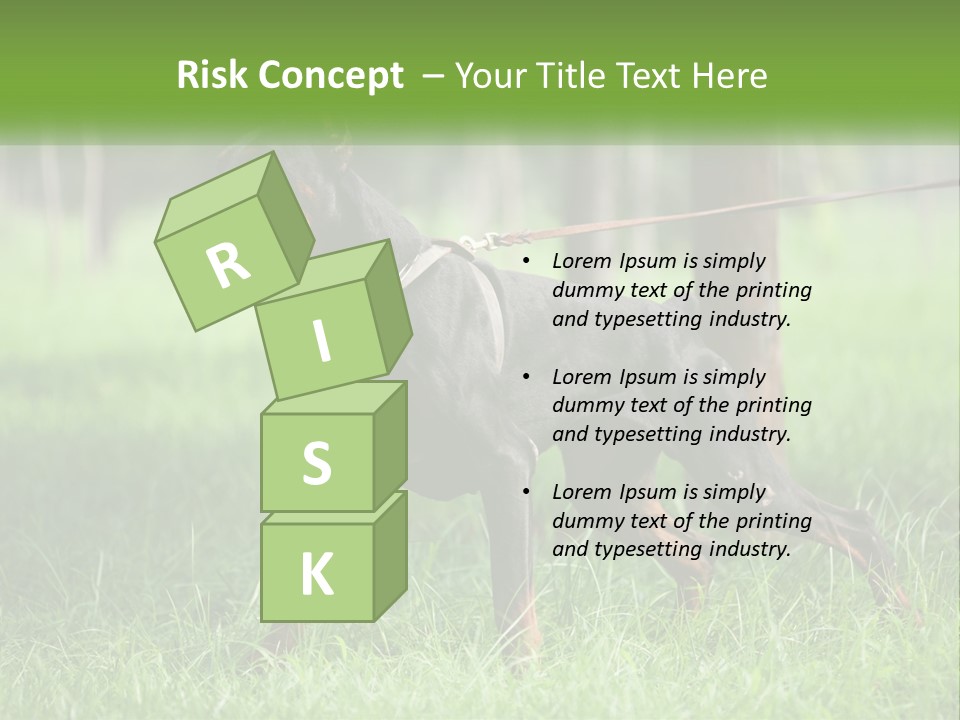 A Black And Brown Dog On A Leash In The Grass PowerPoint Template