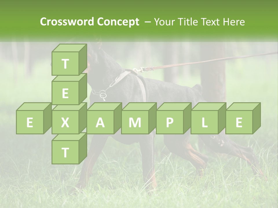 A Black And Brown Dog On A Leash In The Grass PowerPoint Template