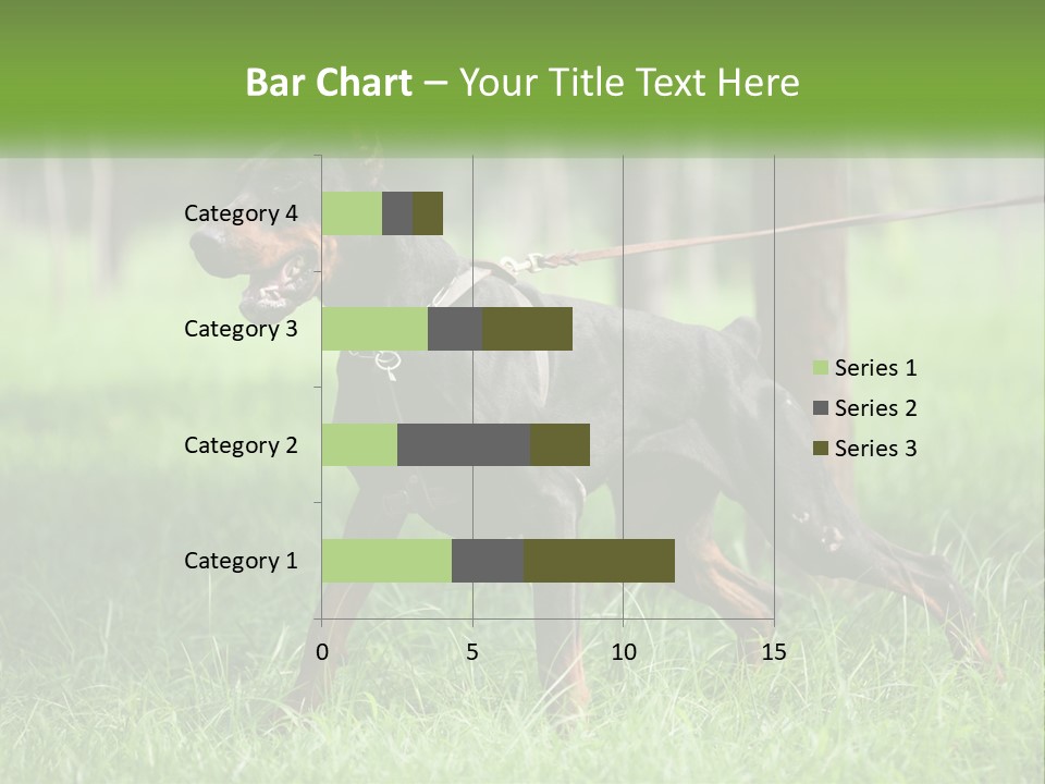 A Black And Brown Dog On A Leash In The Grass PowerPoint Template