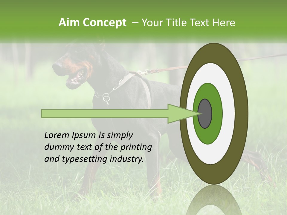 A Black And Brown Dog On A Leash In The Grass PowerPoint Template