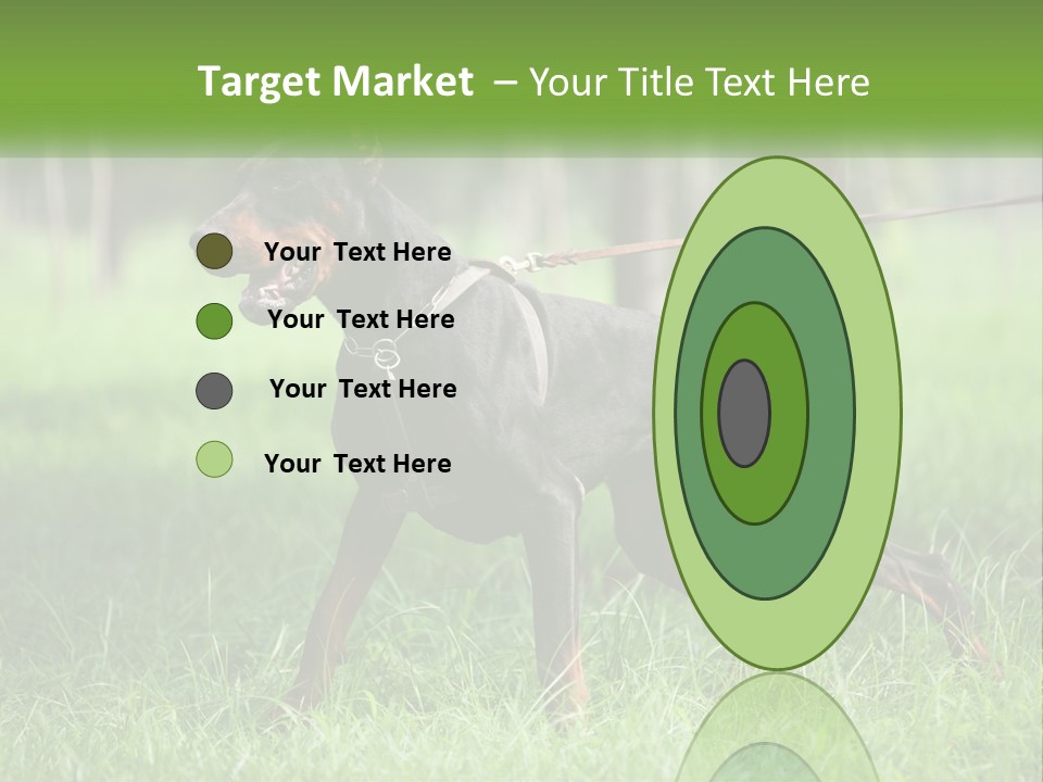 A Black And Brown Dog On A Leash In The Grass PowerPoint Template