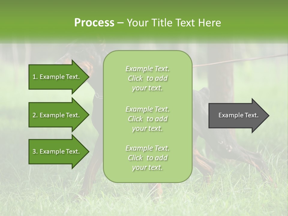 A Black And Brown Dog On A Leash In The Grass PowerPoint Template