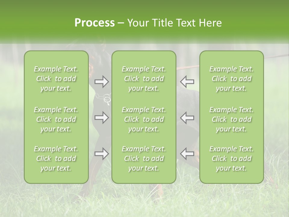 A Black And Brown Dog On A Leash In The Grass PowerPoint Template