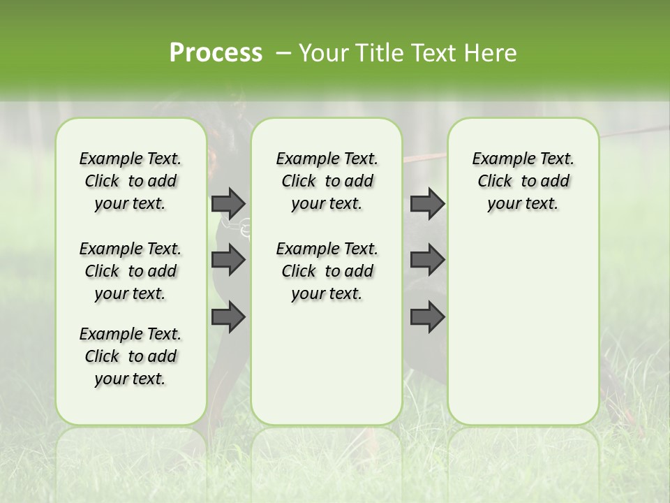 A Black And Brown Dog On A Leash In The Grass PowerPoint Template