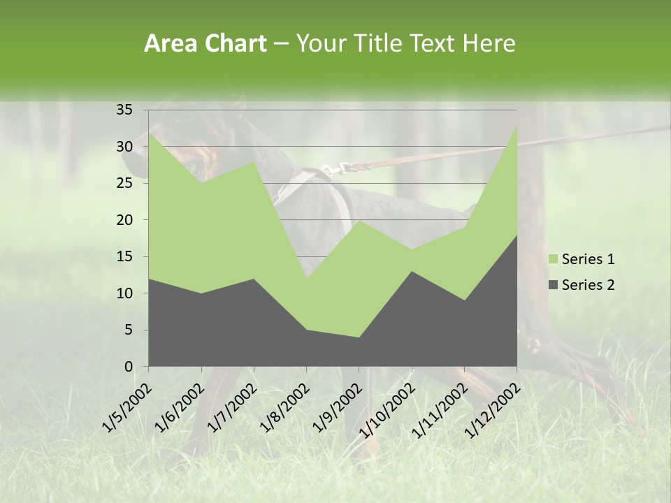 A Black And Brown Dog On A Leash In The Grass PowerPoint Template