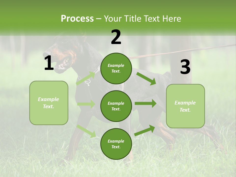 A Black And Brown Dog On A Leash In The Grass PowerPoint Template