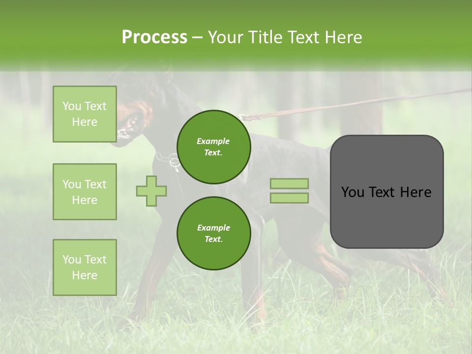 A Black And Brown Dog On A Leash In The Grass PowerPoint Template