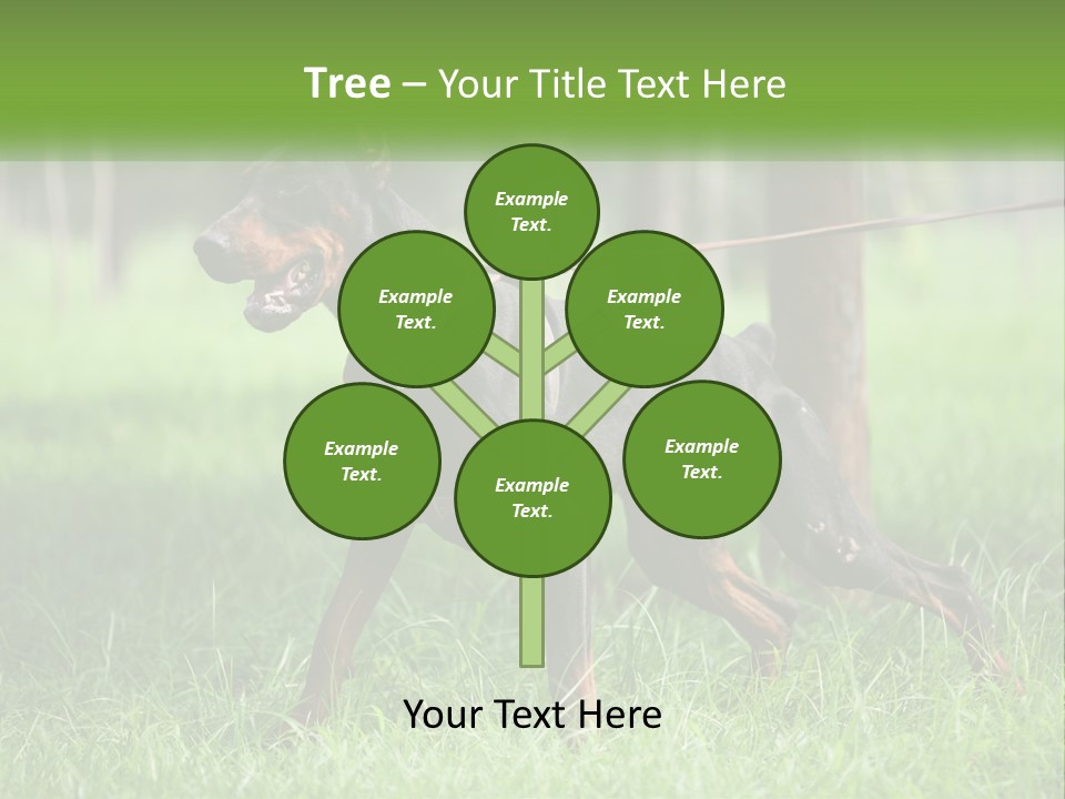 A Black And Brown Dog On A Leash In The Grass PowerPoint Template