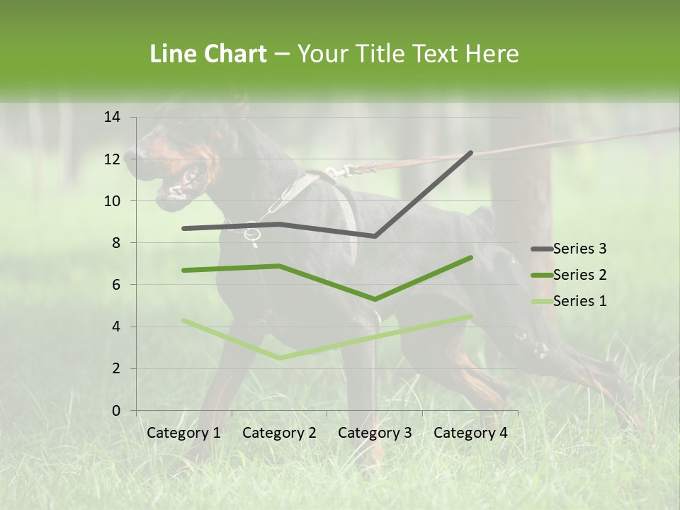 A Black And Brown Dog On A Leash In The Grass PowerPoint Template