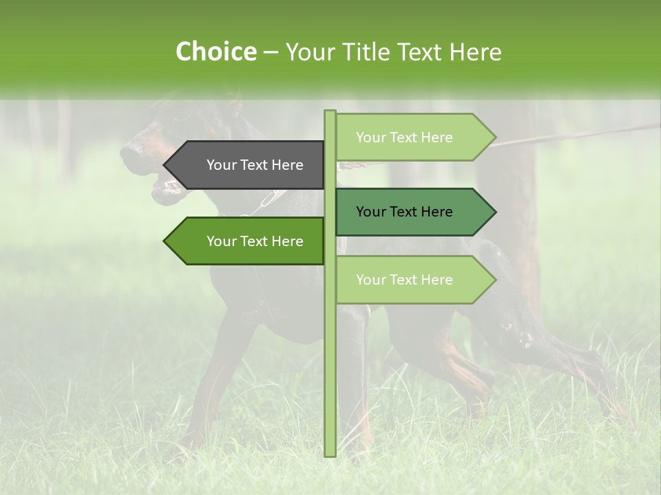 A Black And Brown Dog On A Leash In The Grass PowerPoint Template