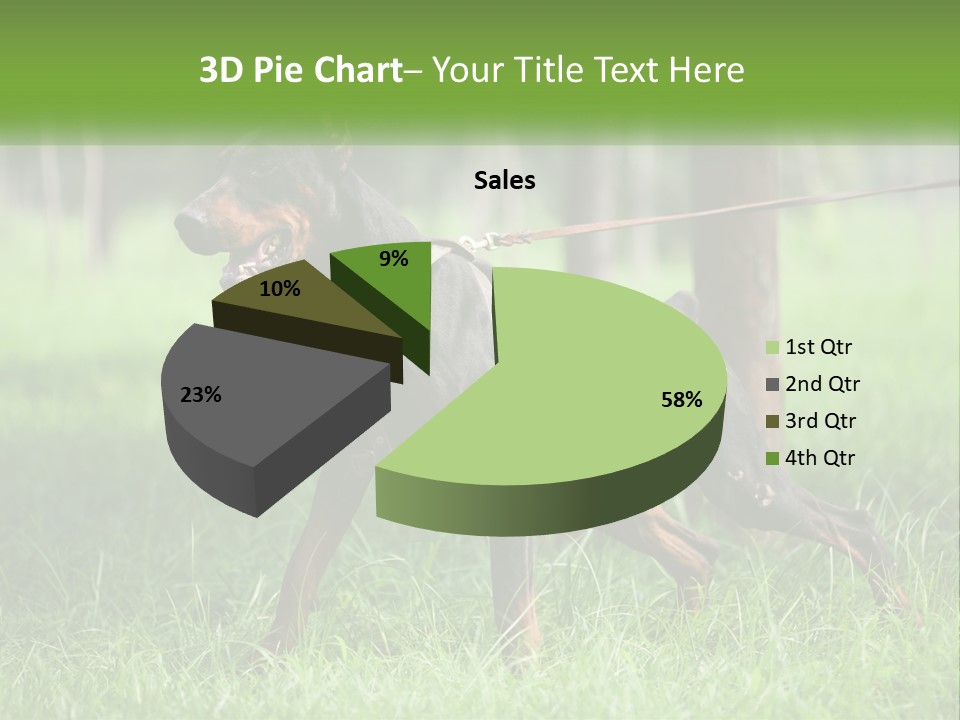 A Black And Brown Dog On A Leash In The Grass PowerPoint Template