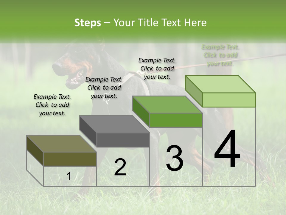 A Black And Brown Dog On A Leash In The Grass PowerPoint Template