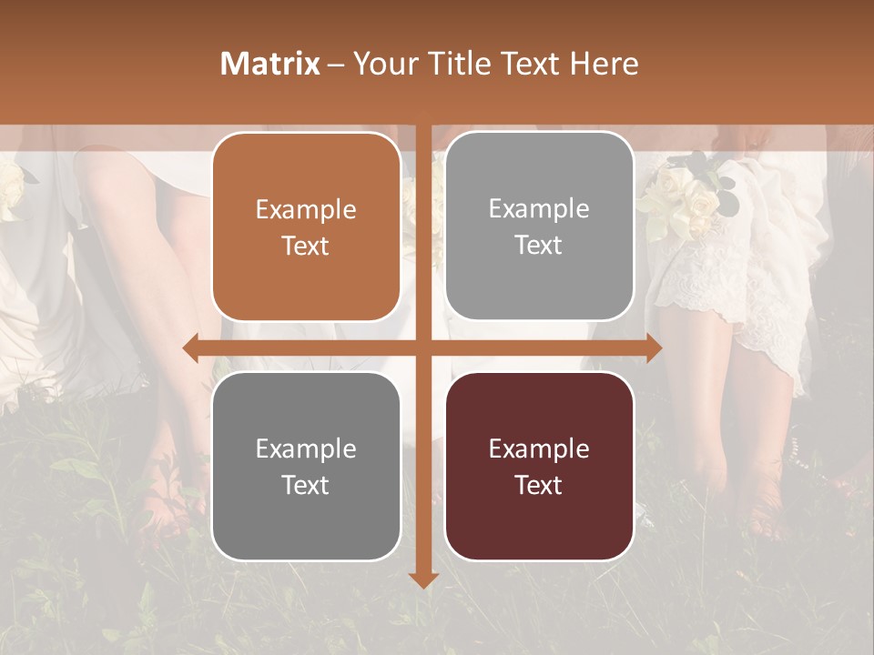 A Group Of Women In White Dresses Sitting On The Grass PowerPoint Template