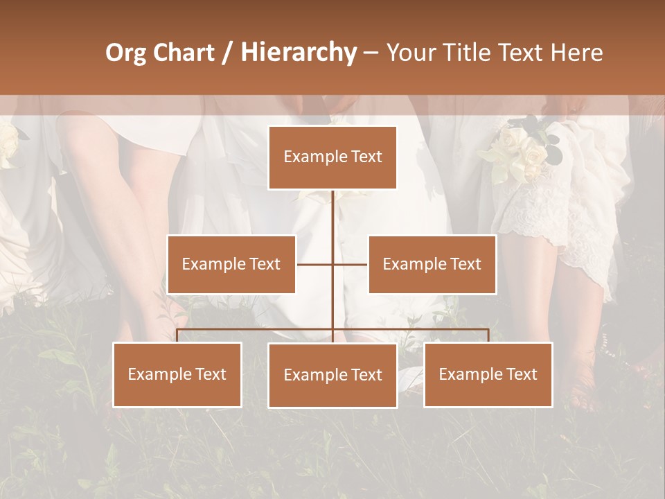 A Group Of Women In White Dresses Sitting On The Grass PowerPoint Template