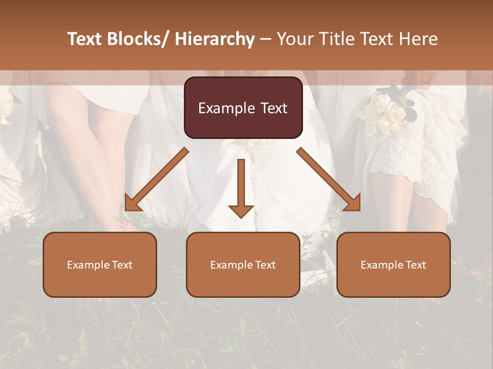 A Group Of Women In White Dresses Sitting On The Grass PowerPoint Template